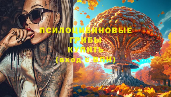 ешки Аркадак