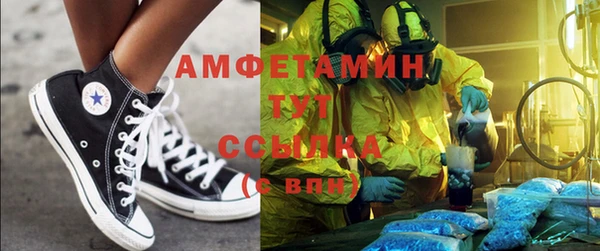 ешки Аркадак