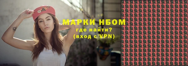 ешки Аркадак