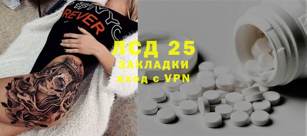 ешки Аркадак
