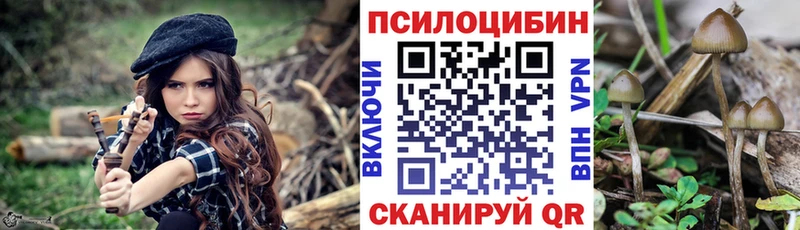 дарк нет формула  сколько стоит  Миллерово  Галлюциногенные грибы MAGIC MUSHROOMS 